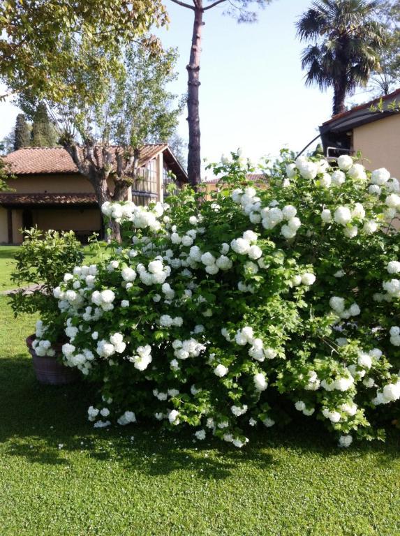 Bauernhof Fattoria Di Migliarino Migliarino Pisano