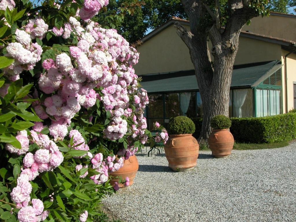 Fattoria Di Migliarino