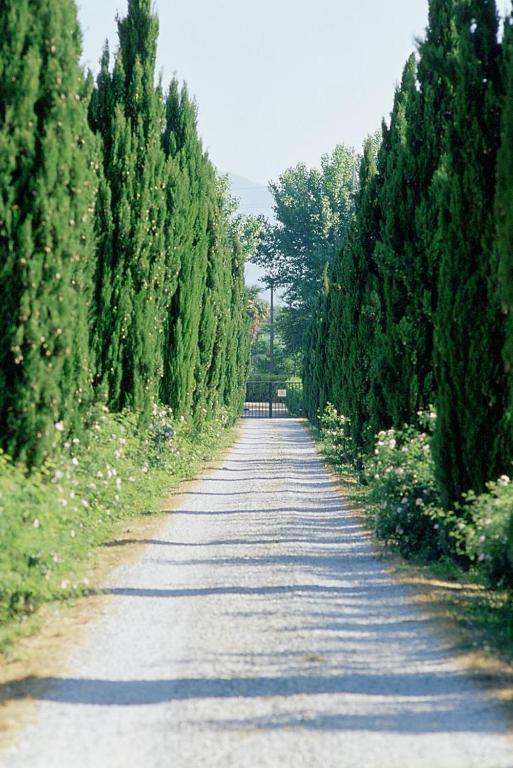 Fattoria Di Migliarino