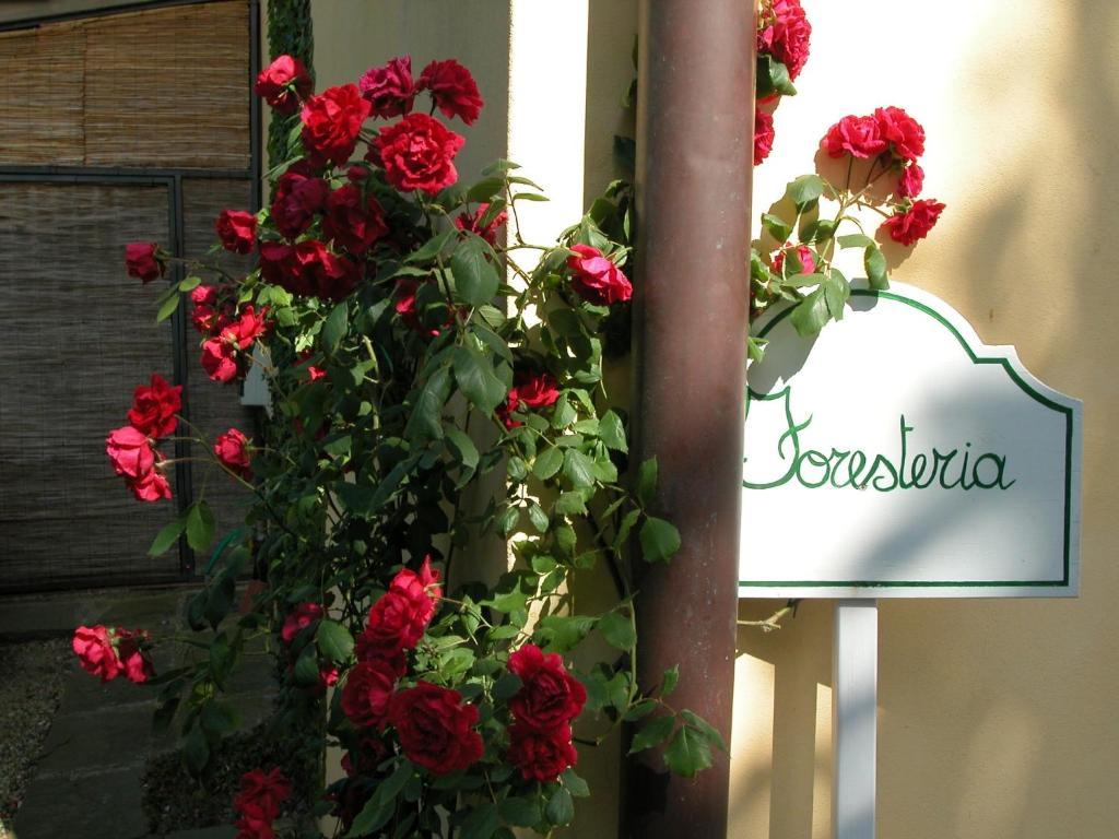 Fattoria Di Migliarino