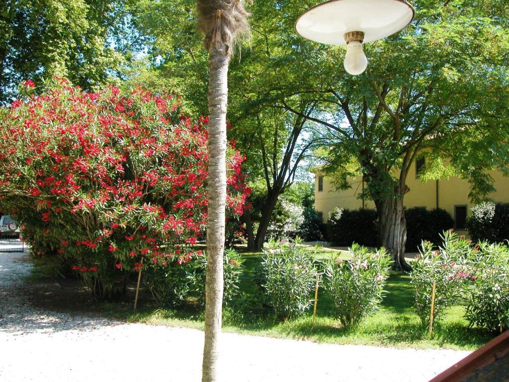 Fattoria Di Migliarino *
