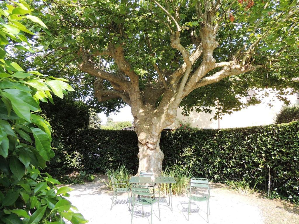 Fattoria Di Migliarino Bauernhof